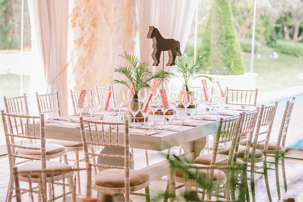 παιδικο-παρτυ-safari (3)