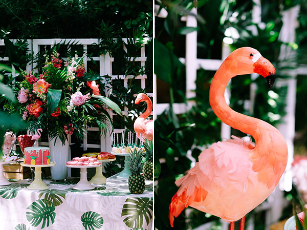 flamingo-βαπτιση