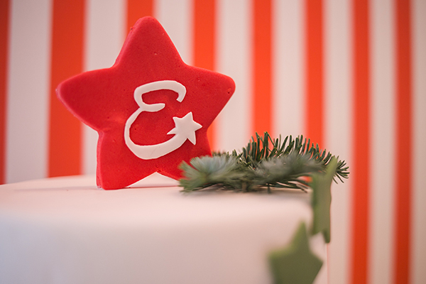 christmas-girl-baptism-ideas (22)