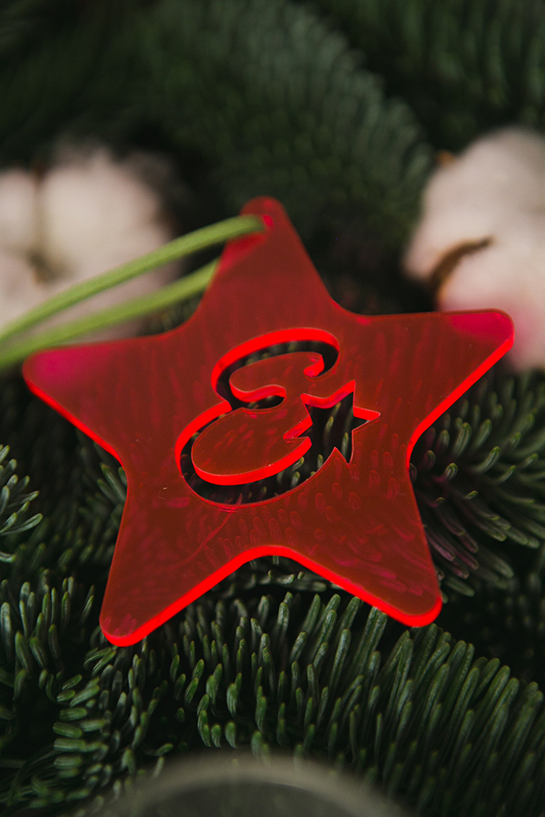 christmas-girl-baptism-ideas (7)