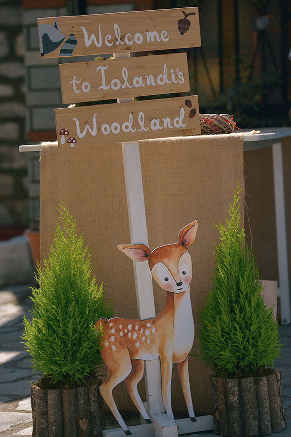 baptism-woodland-themed-2