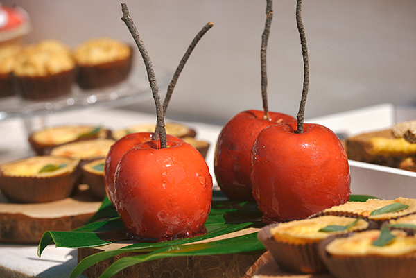 baptism-woodland-themed-7