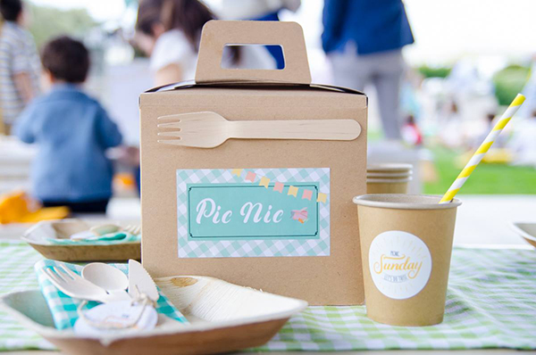 boy-baptism-with-picnic-theme-12