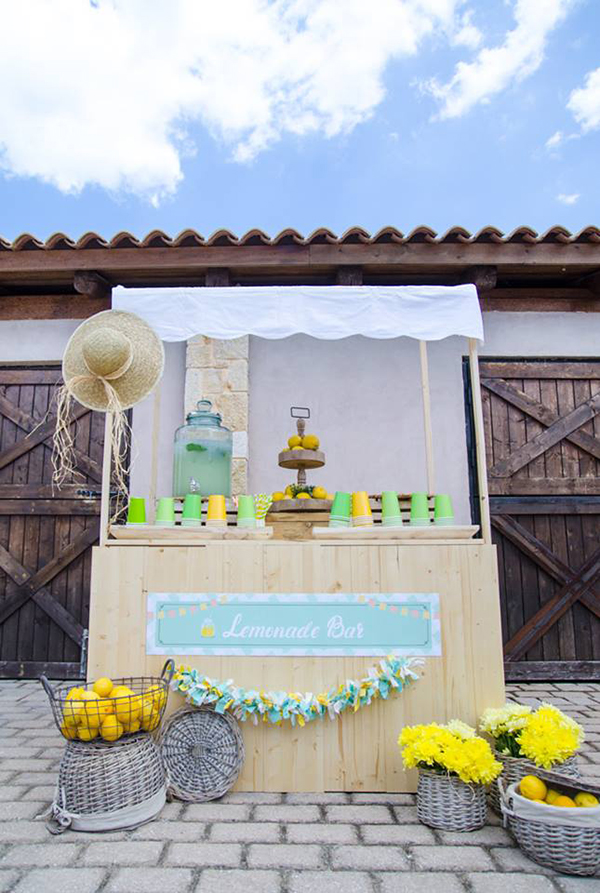 boy-baptism-with-picnic-theme-3