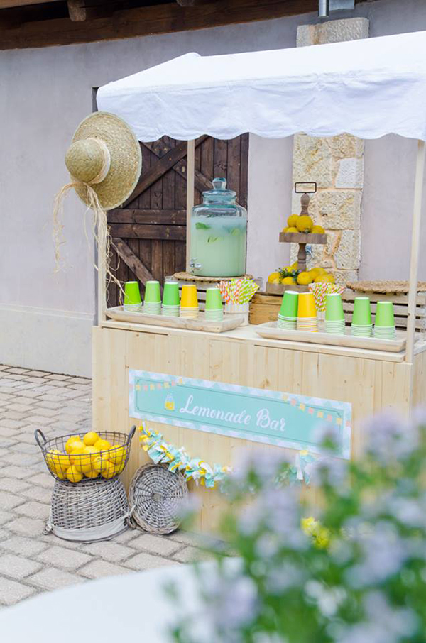 boy-baptism-with-picnic-theme-8