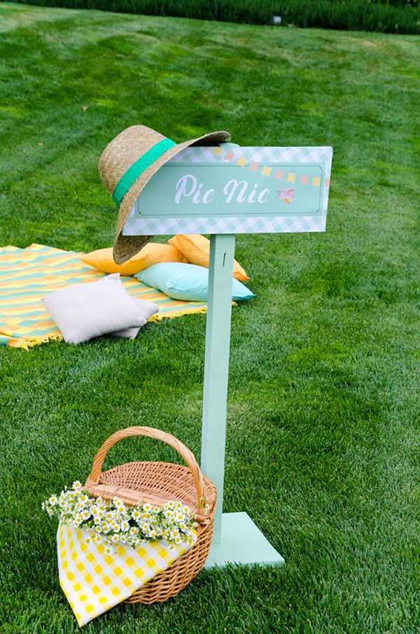 boy-baptism-with-picnic-theme-9