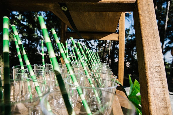 omorfi-vaptisi-me-thema-to-flamigo-4