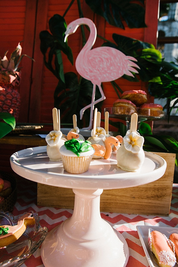 omorfi-vaptisi-me-thema-to-flamigo-5x