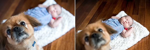 adorable-newborn-photosession_04X