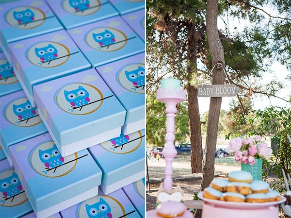 beautiful-owl-theme-baptism-ideas-_05A