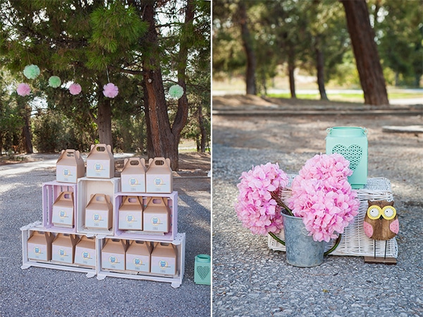 beautiful-owl-theme-baptism-ideas-_08A