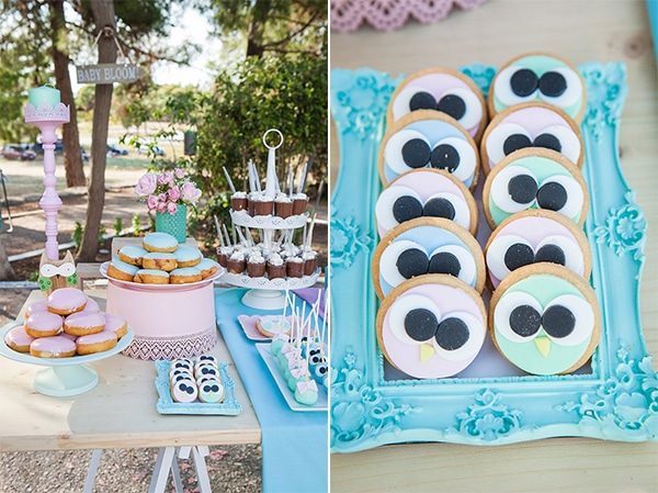 beautiful-owl-theme-baptism-ideas-_10A