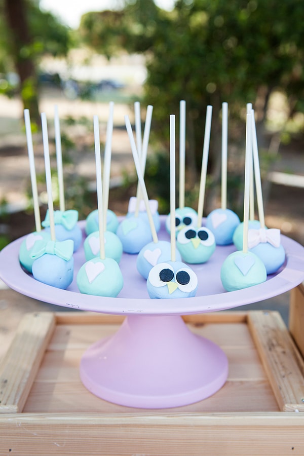 beautiful-owl-theme-baptism-ideas-_13