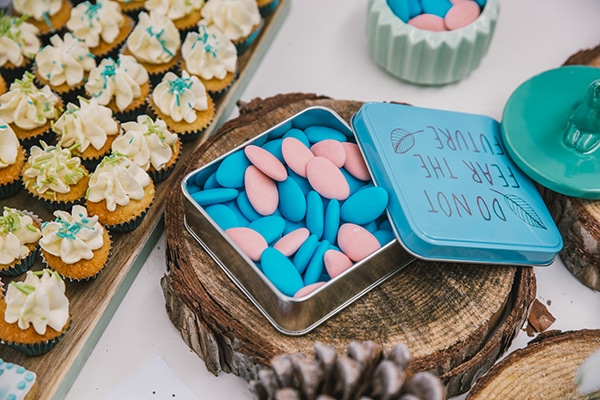 beautiful-woodland-tribal-animals-theme-baptism_15