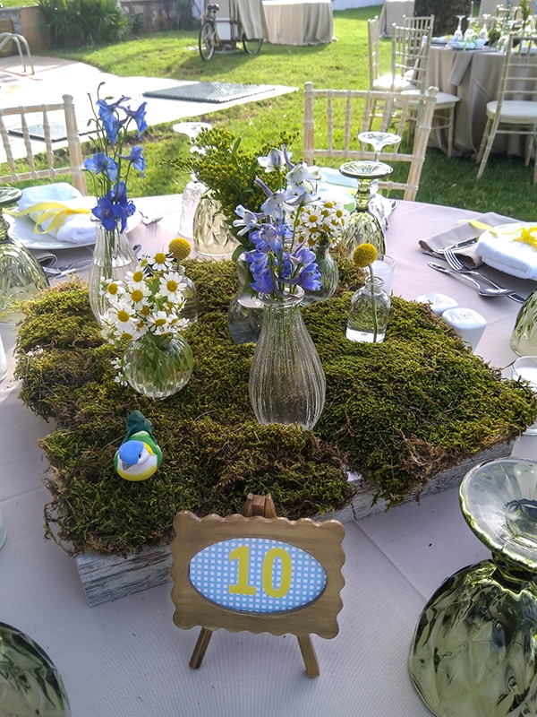 cute-boy-baptism-bird-theme_05