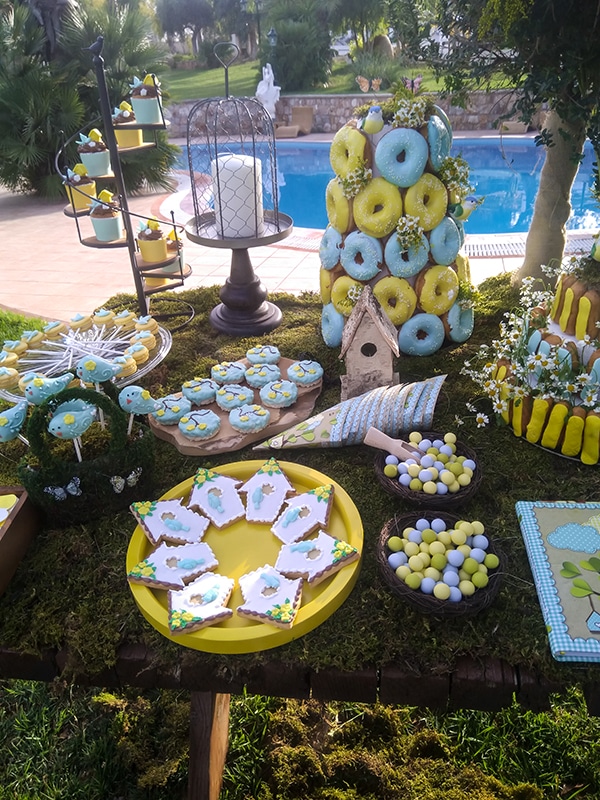 cute-boy-baptism-bird-theme_07