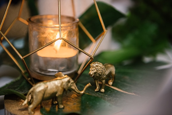 unique-boy-baptism-ideas-jungle-theme_08