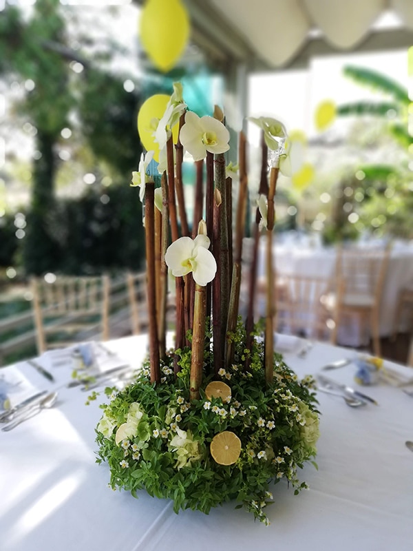 beautiful-boy-baptism-ideas-elephant-theme_06