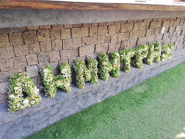 beautiful-boy-baptism-ideas-elephant-theme_08