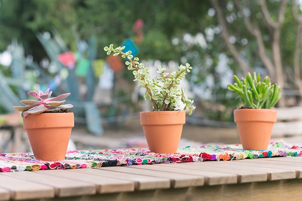 colorful-baptism-mexican-fiesta_15