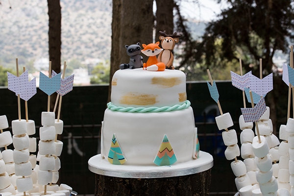 wonderful-boy-baptism-camp-theme_19