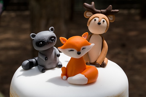 wonderful-boy-baptism-camp-theme_19x