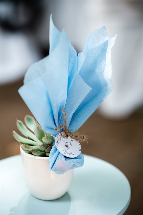 Fall Baptism Hummingbird Theme