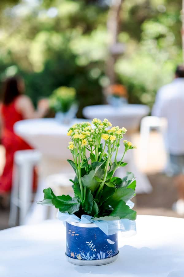 Cute Baptism Decorative Ideas Theme Depth Of The Ocean