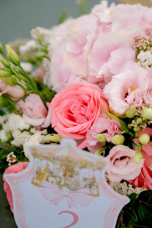 Fairytale Baptism Girl Theme Vintage Carousel