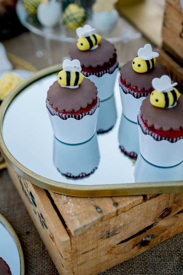 Fall Baptism Boy Bee Theme