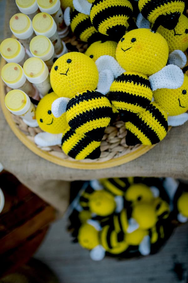 Fall Baptism Boy Bee Theme