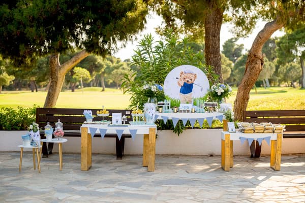 Ideas Decorative Boy Baptism Theme Teddy Bear