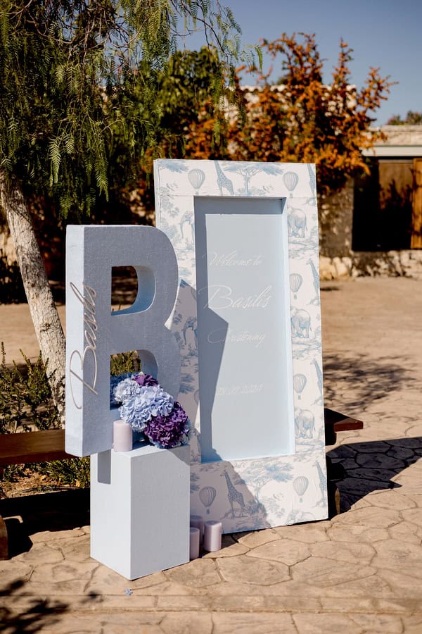 Decoration Ideas Modern Safari Theme