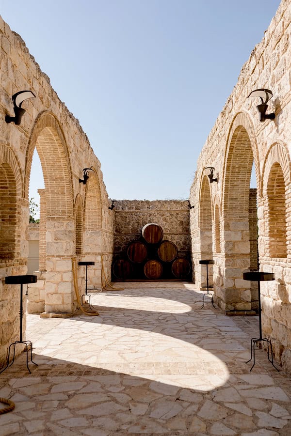 Decoration Ideas Modern Safari Theme