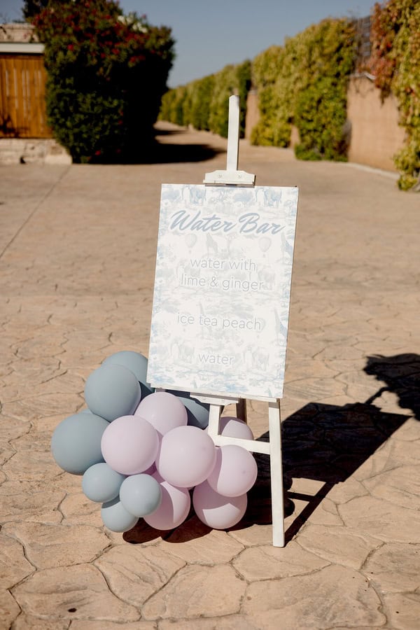 Decoration Ideas Modern Safari Theme