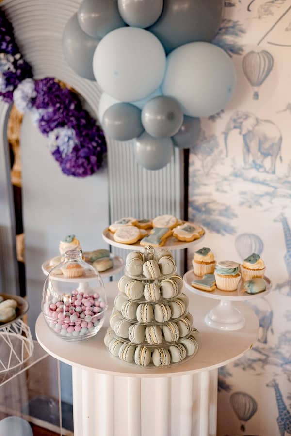 Decoration Ideas Modern Safari Theme