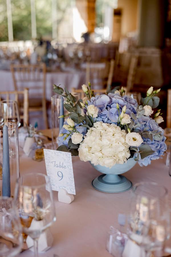 Decoration Ideas Modern Safari Theme