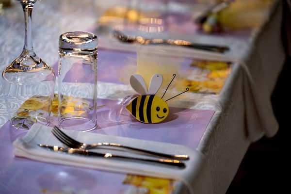 Decorative Ideas Baptism Twins Bee Theme