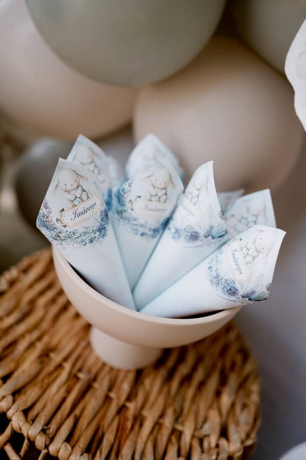 Ideas Decorative Boy Baptism Theme Bunny