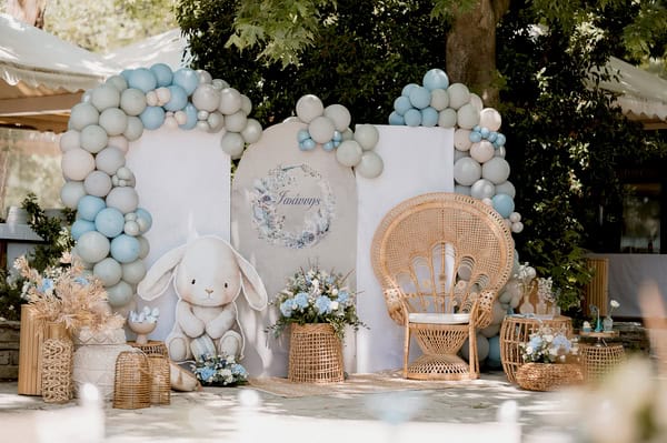 Ideas Decorative Boy Baptism Theme Bunny