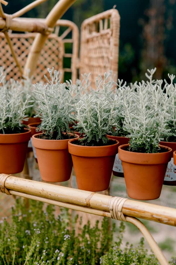 Fantastic Happy Farm Themed Baptism Full Of Imagination And Beautiful Details