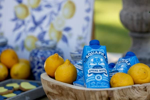 Ideas For Summer Baptism With Sicilian Lemon Theme