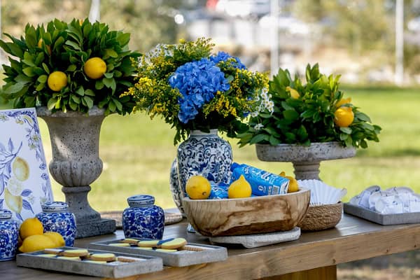 Ideas For Summer Baptism With Sicilian Lemon Theme