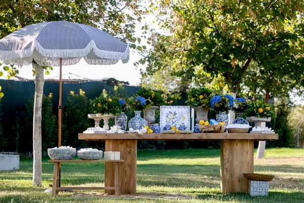 Ideas For Summer Baptism With Sicilian Lemon Theme