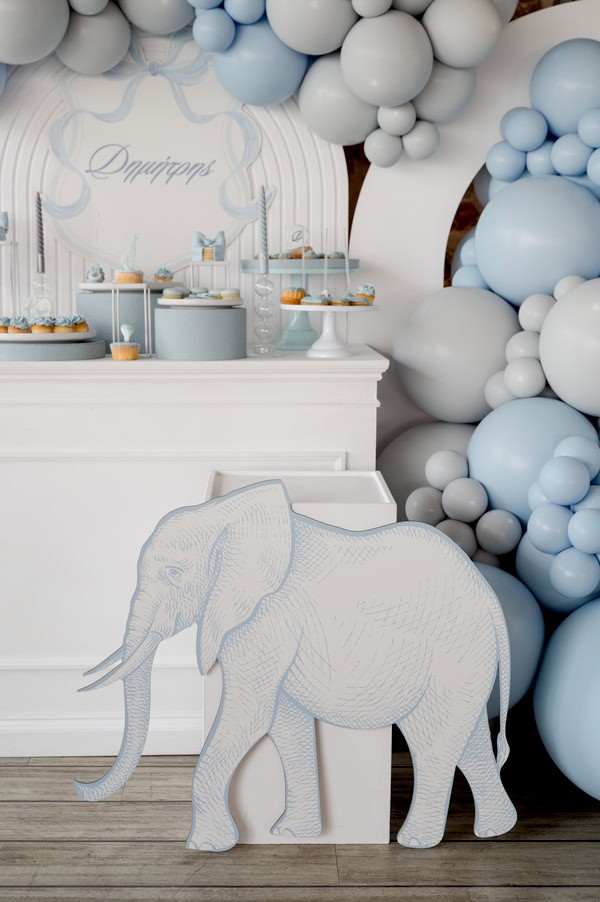 Ideas For A Dior Inspired Baptism With Baby Blue Details