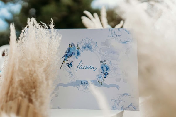 Ideas For Boys Baptism Parrot Theme Blue