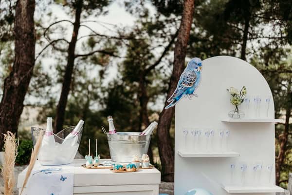 Ideas For Boys Baptism Parrot Theme Blue