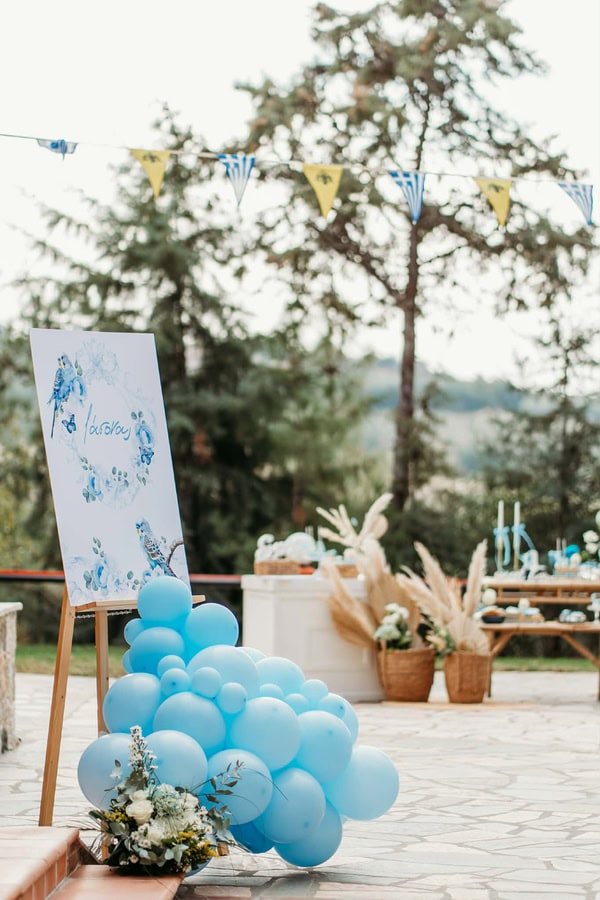 Ideas For Boys Baptism Parrot Theme Blue