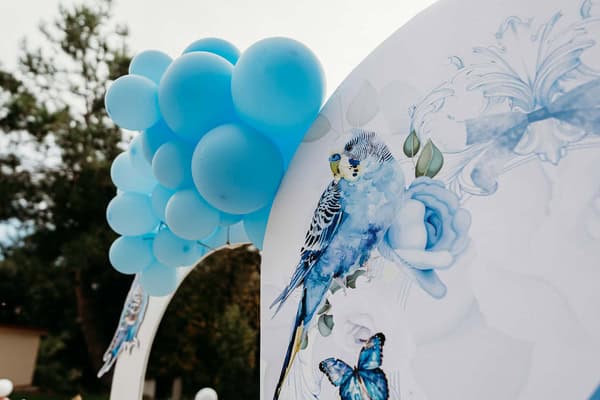 Ideas For Boys Baptism Parrot Theme Blue