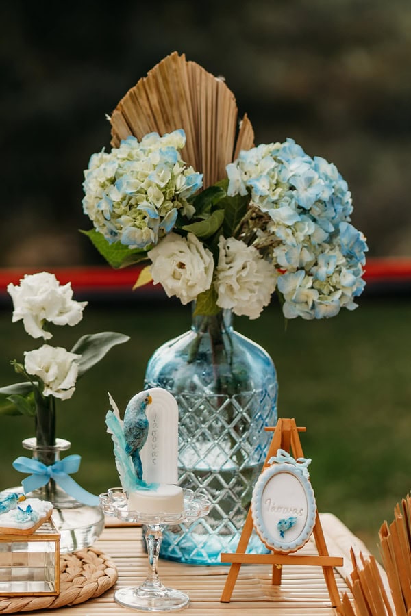Ideas For Boys Baptism Parrot Theme Blue